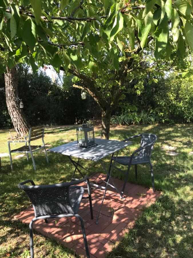 Le Jardin De La Cite Bed & Breakfast Carcassonne Exterior foto